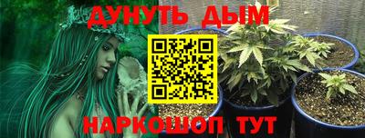 гашиш Кохма