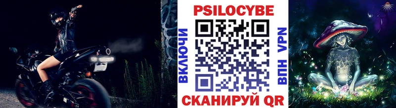 наркота  Чита  Галлюциногенные грибы Psilocybe 